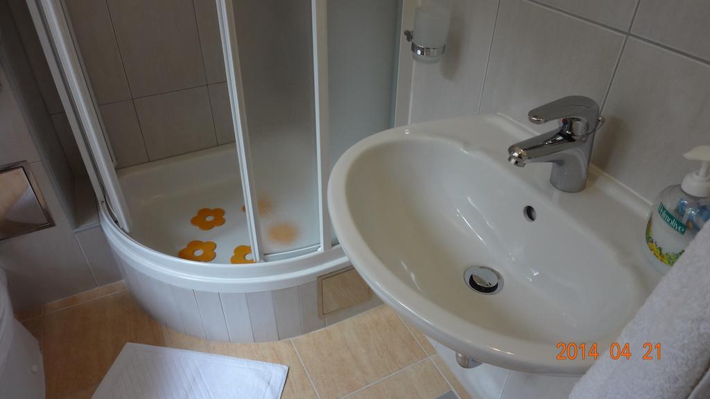 טרוגיר Room Mira חדר תמונה